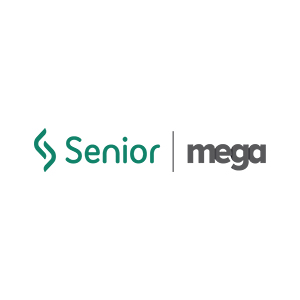 bpo_contabil_senior_mega